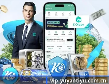 雨燕体育登录 APP 深度功能
